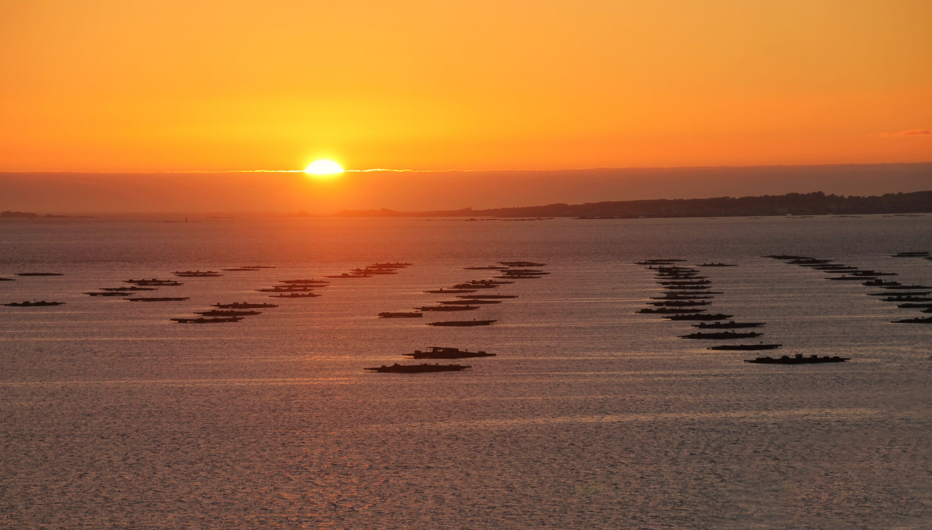 coucher sur les plates formes myticoles