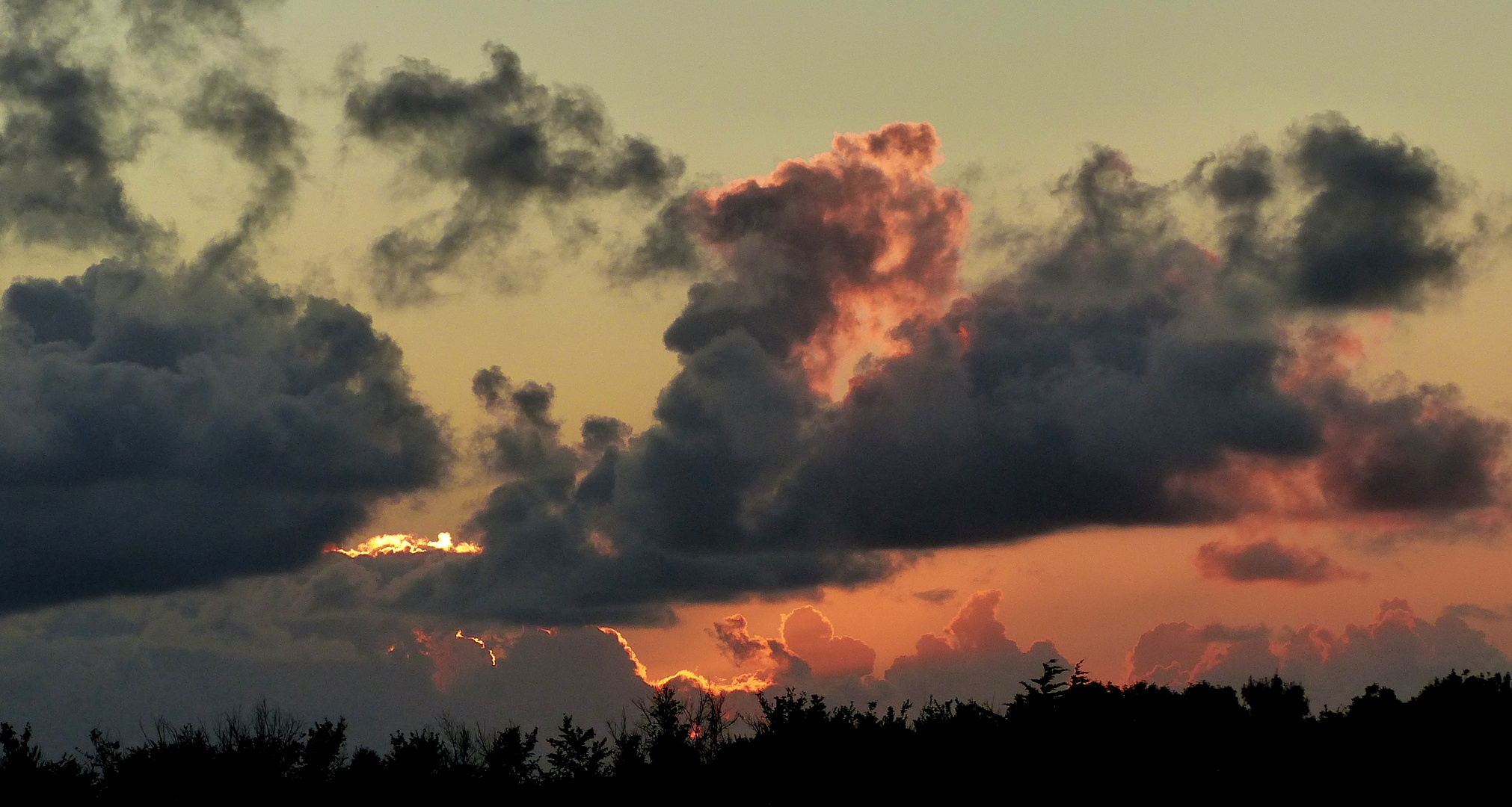 Coucher vendéen