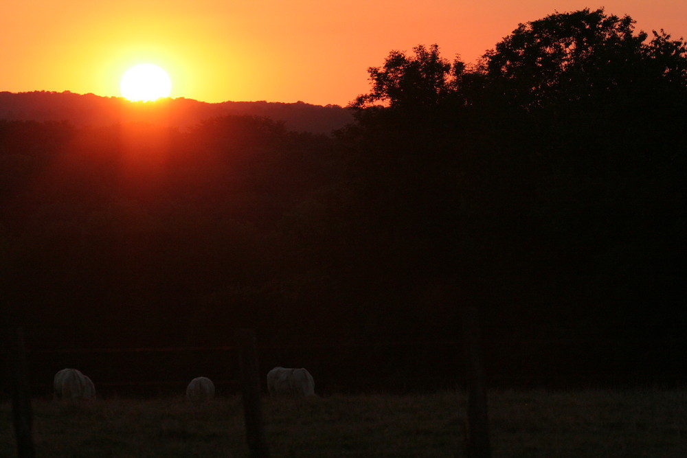 Couchez de soleil sur la haute-saone...