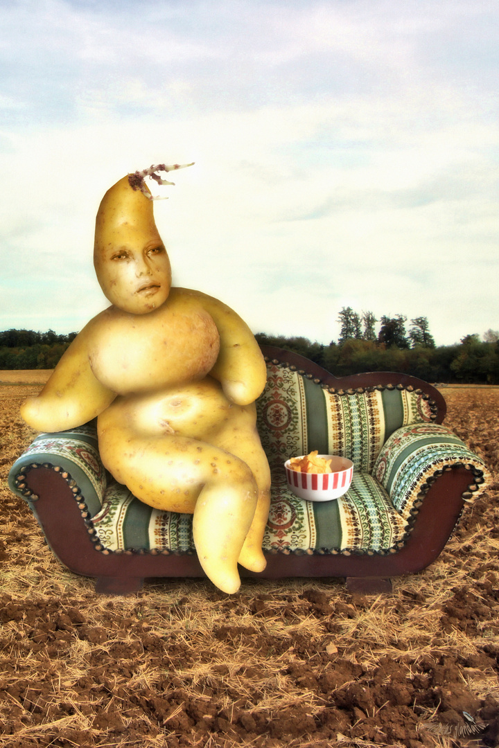 Couchpotato 