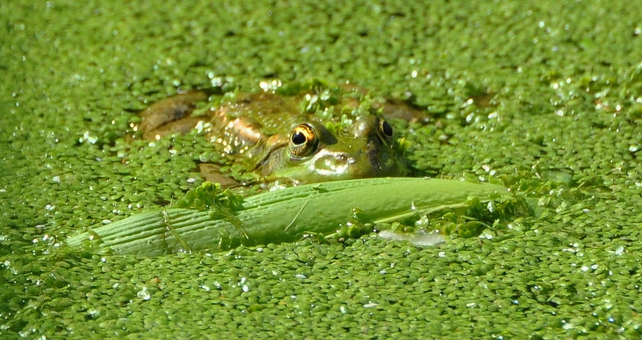 coucou c'est moi!!!!