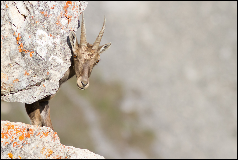 Coucou la photographe !!!