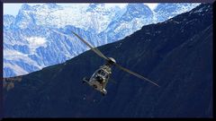 Cougar am Display - AXALP 2010