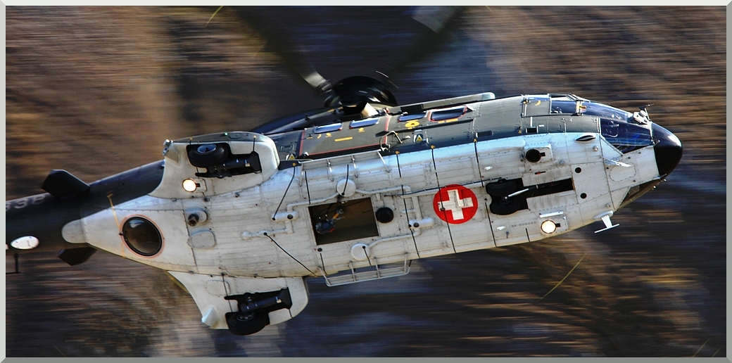 Cougar der Schweizer Luftwaffe an der Axalp 2010
