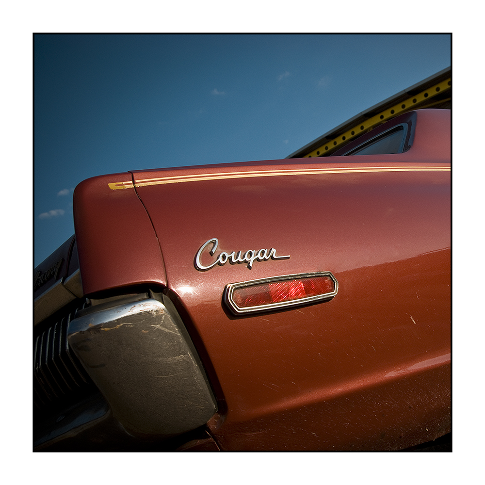 Cougar Detail