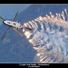 Cougar over Axalp - Switzerland