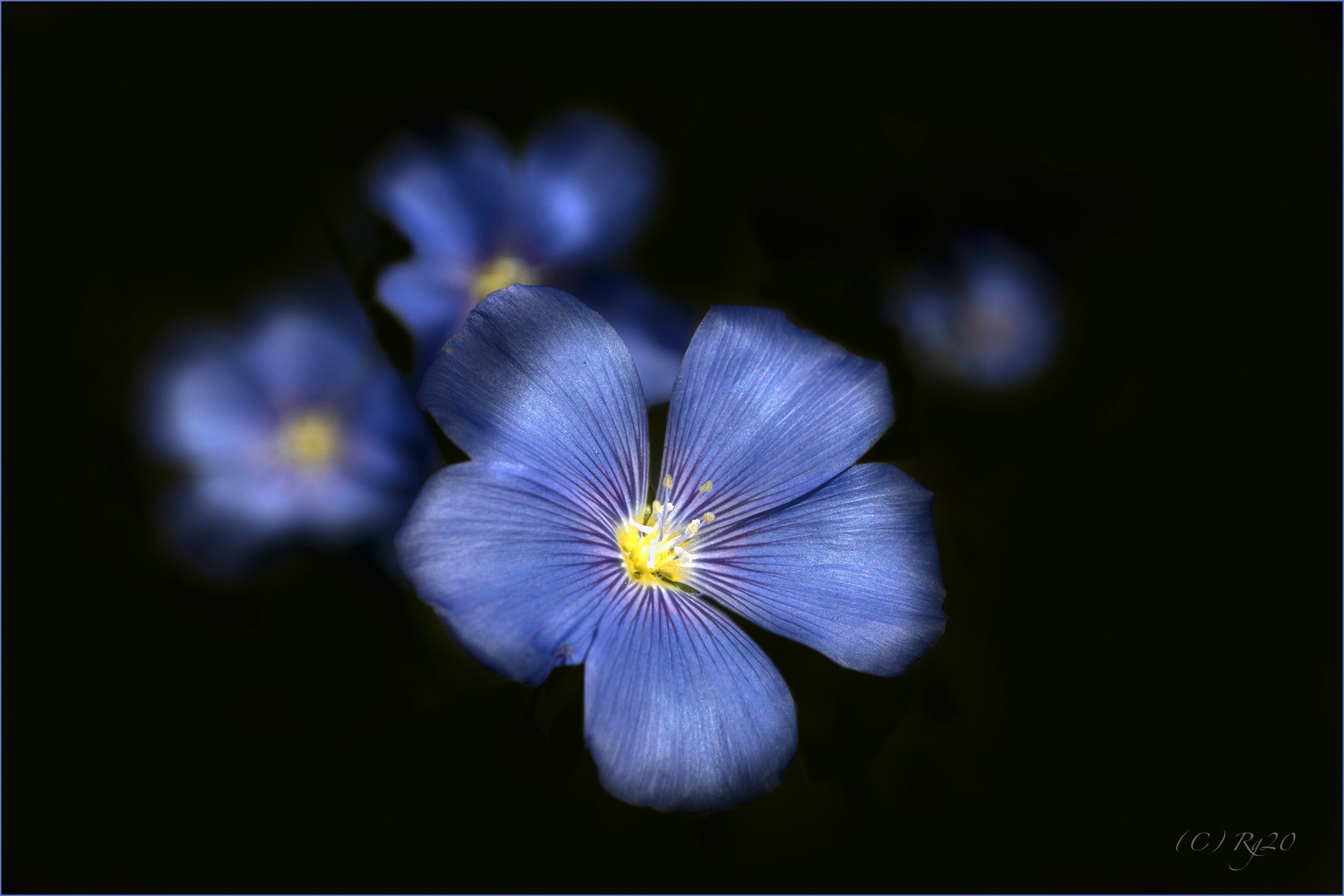 couleur bleu