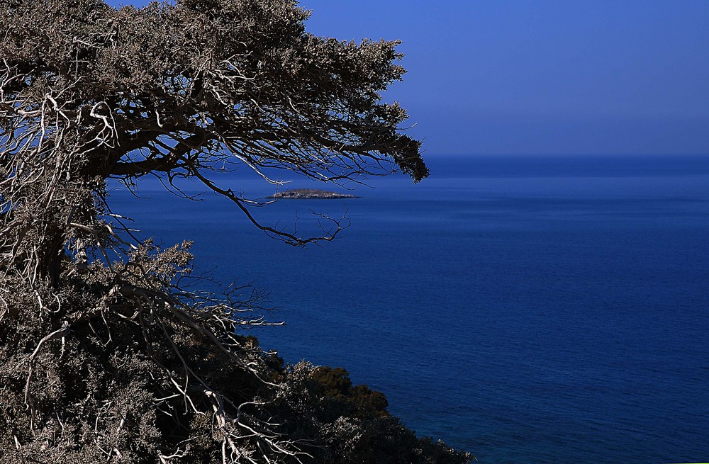 Couleur "Bleu"