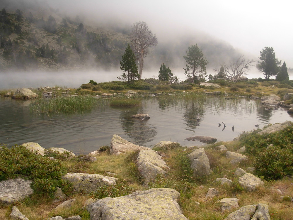 Couleur brume