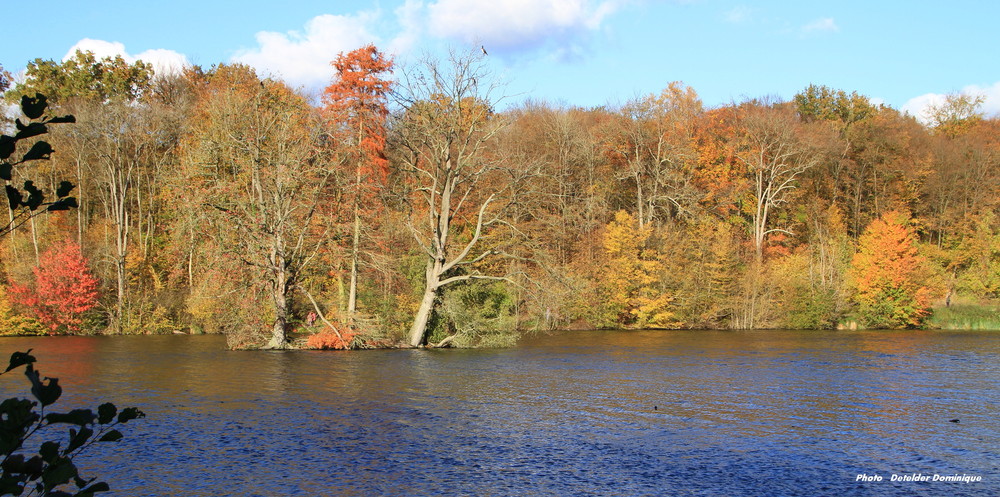 Couleur d'Automne