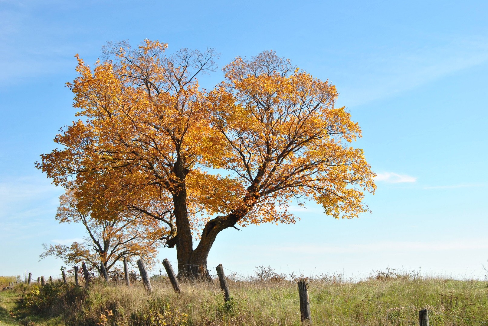 Couleur d'automne