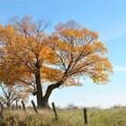 Couleur d'automne