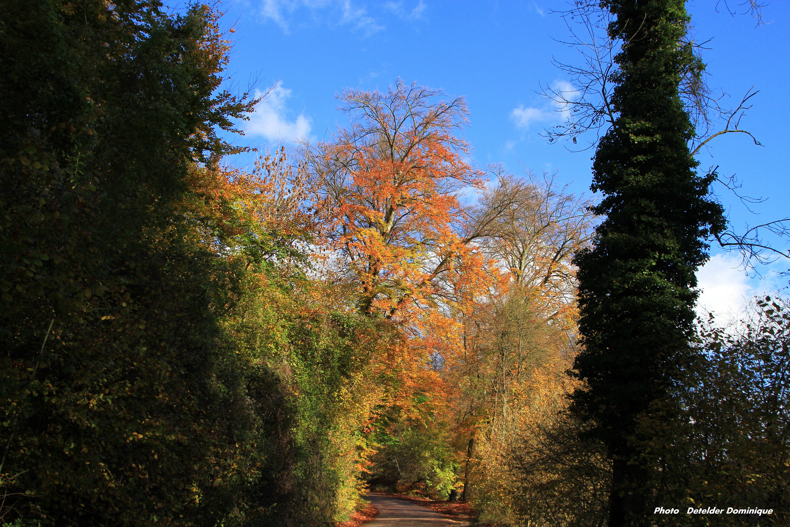 Couleur d'Automne