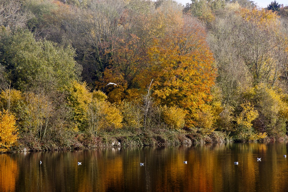 Couleur d'automne