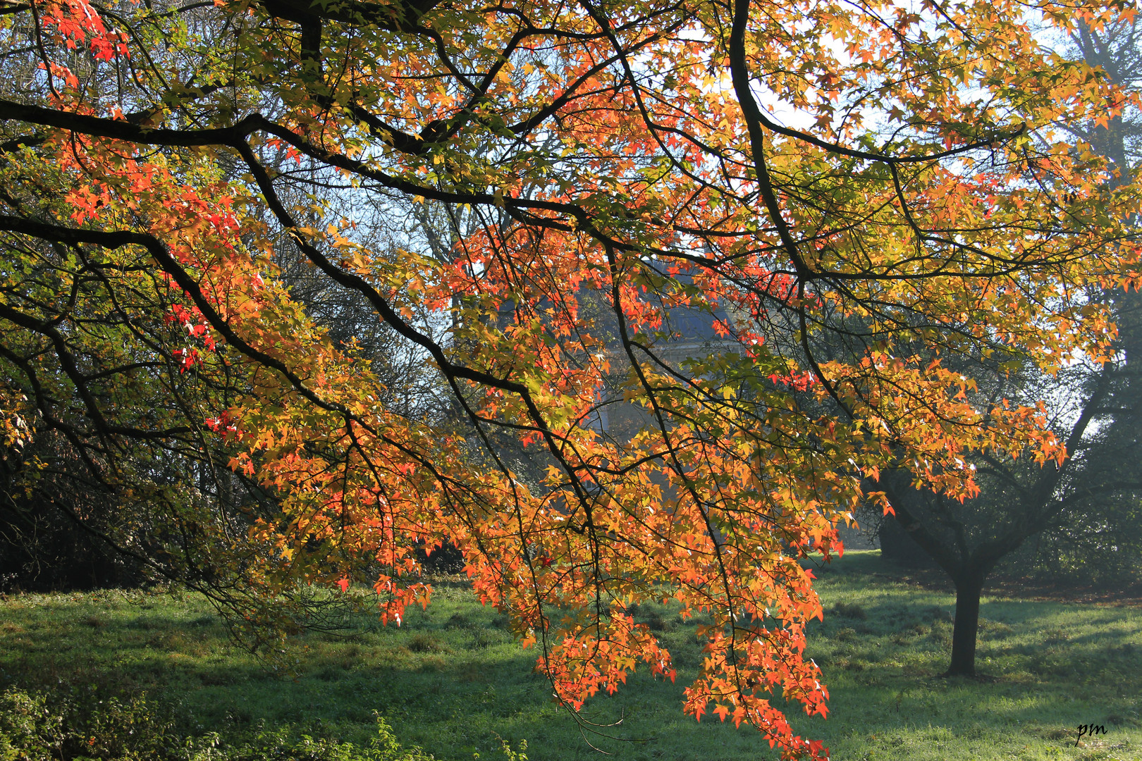 couleur d'automne à la douve