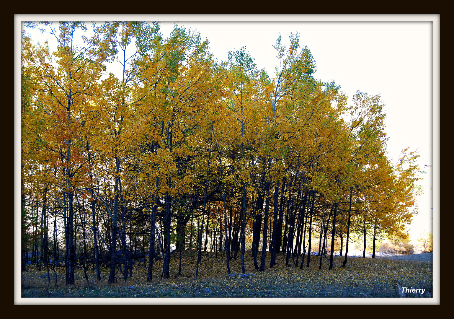 Couleur d'automne