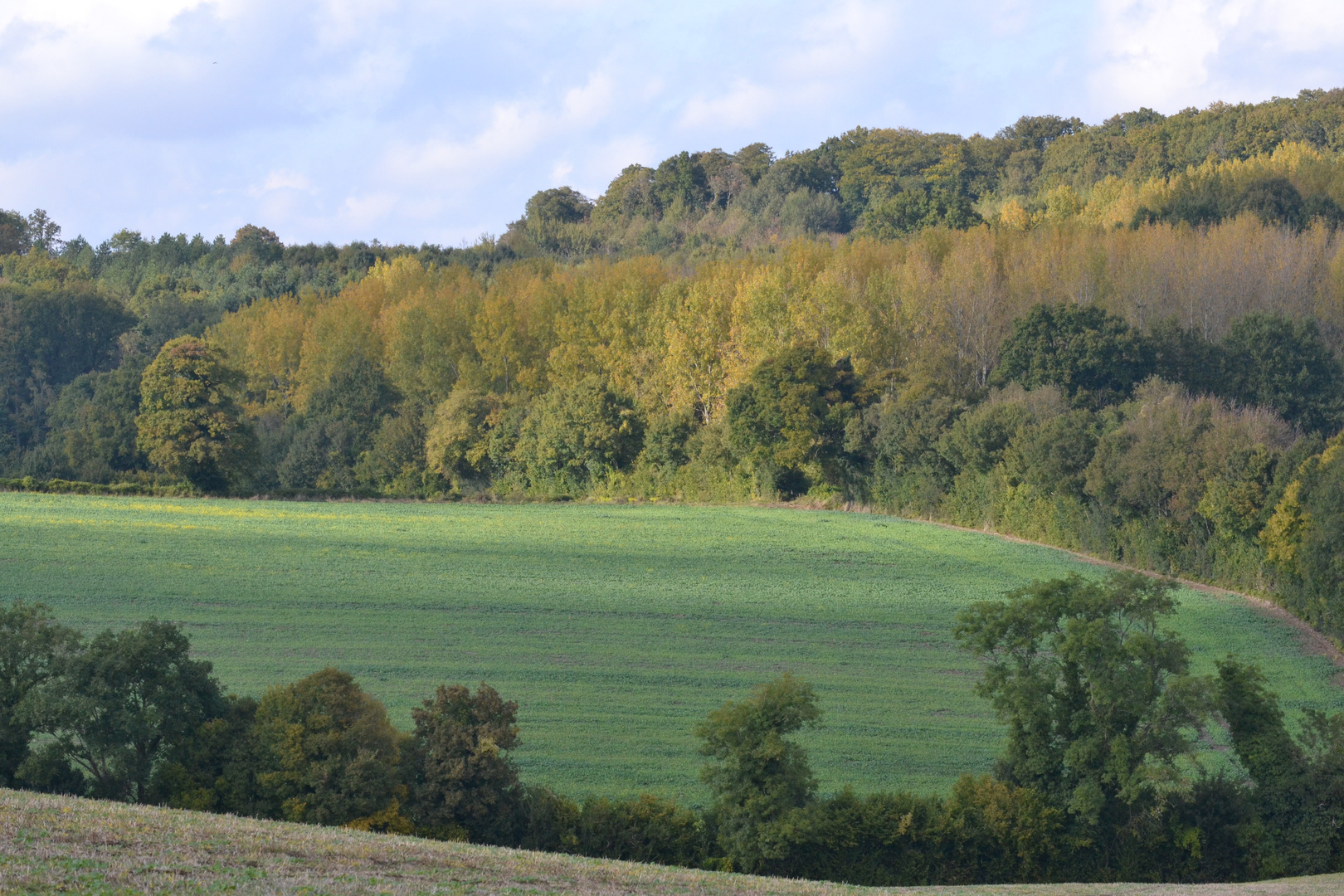 Couleur d'automne