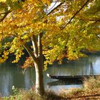 Couleur d'automne sur l'Ill à la Wantzenau (Bas-Rhin)