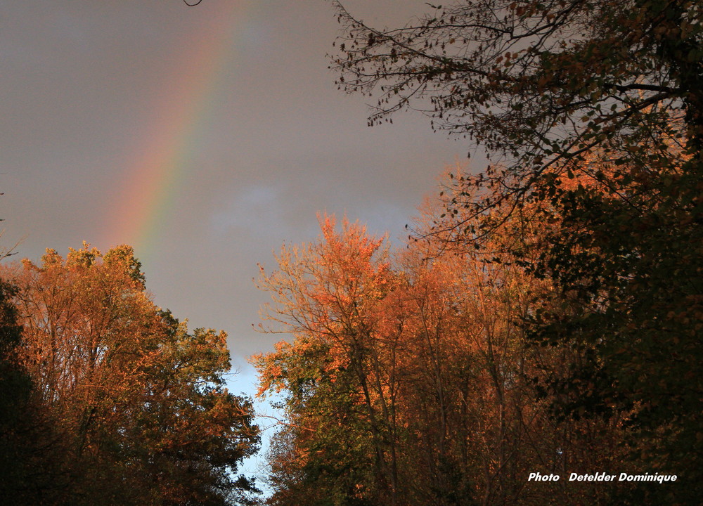 Couleur d'Autonme et arc en ciel