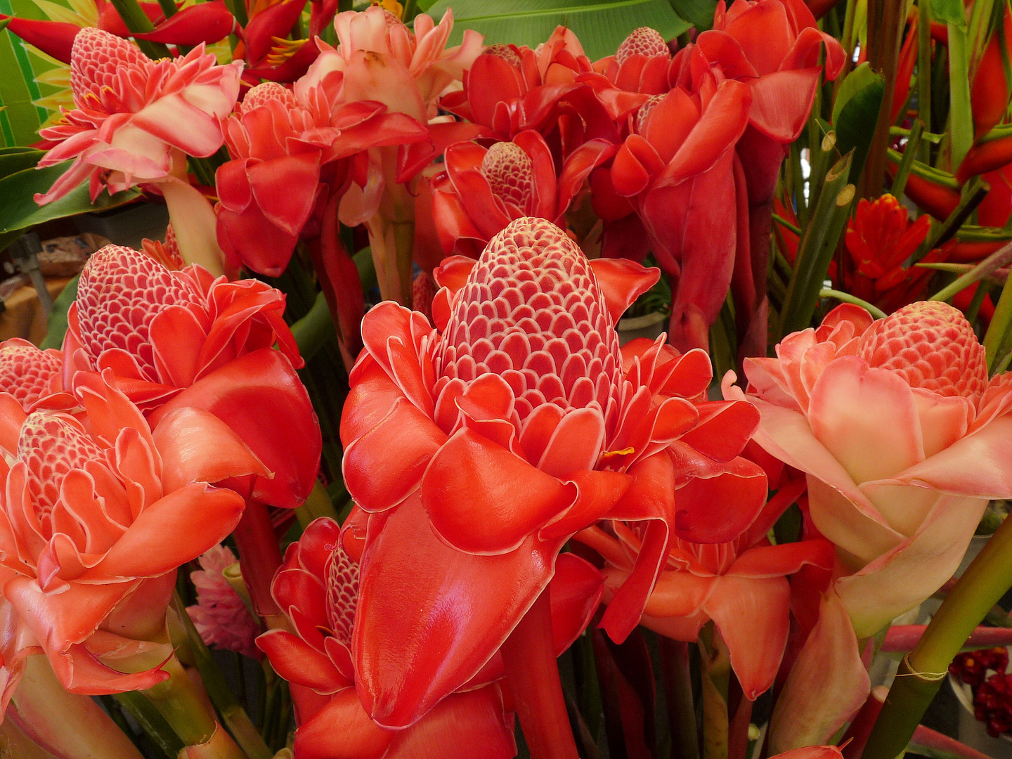 Couleur de la réunion