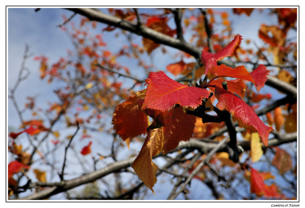 Couleur eclatante