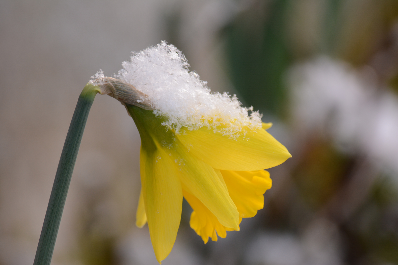 Couleur en hiver