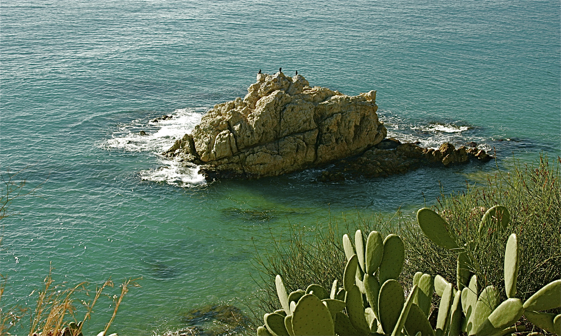 Couleur matinale de la mer...