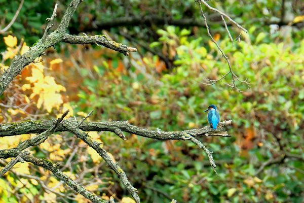 couleur pierre précieuse