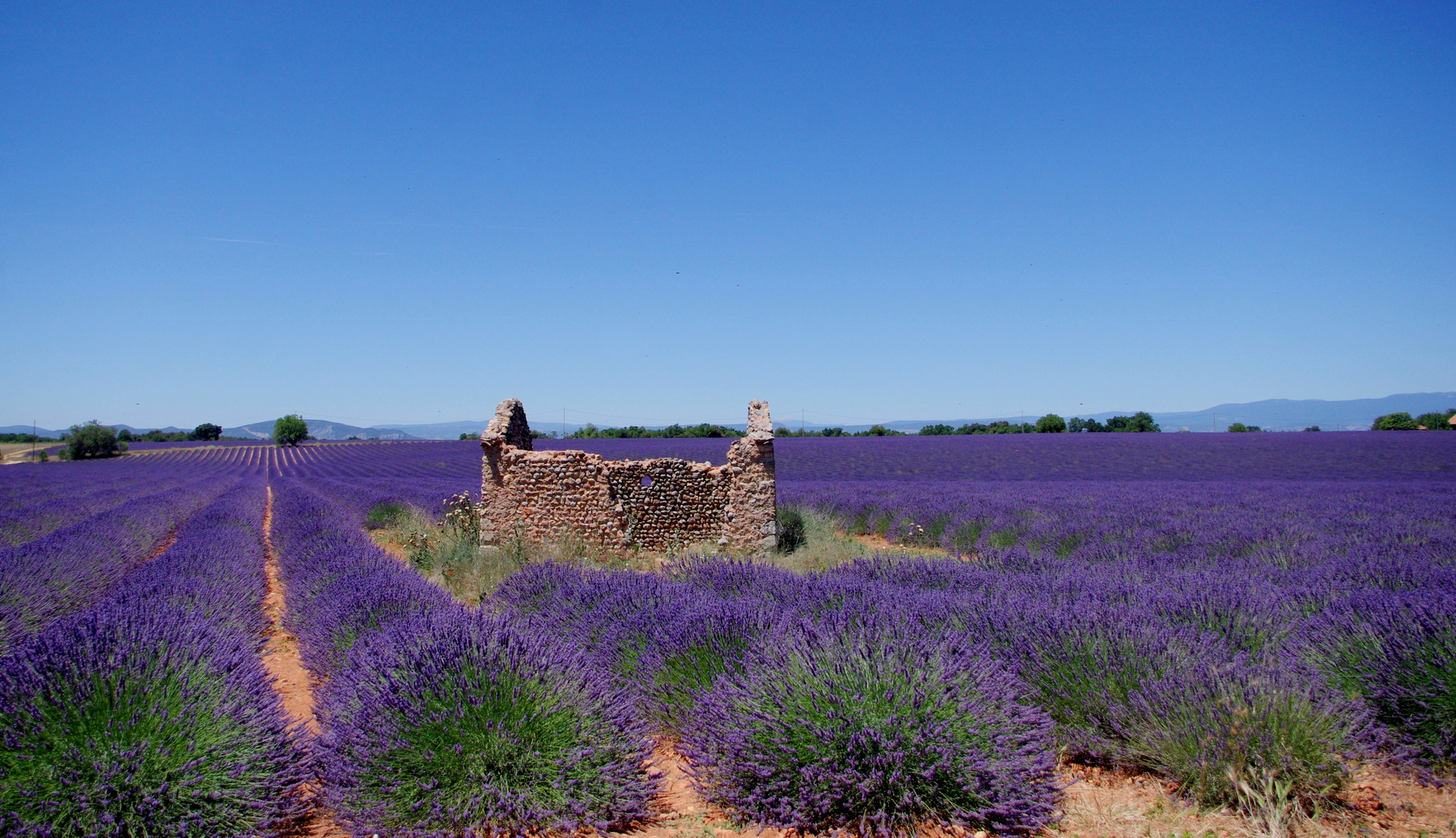 Couleur Provence ....