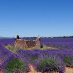 Couleur Provence ....