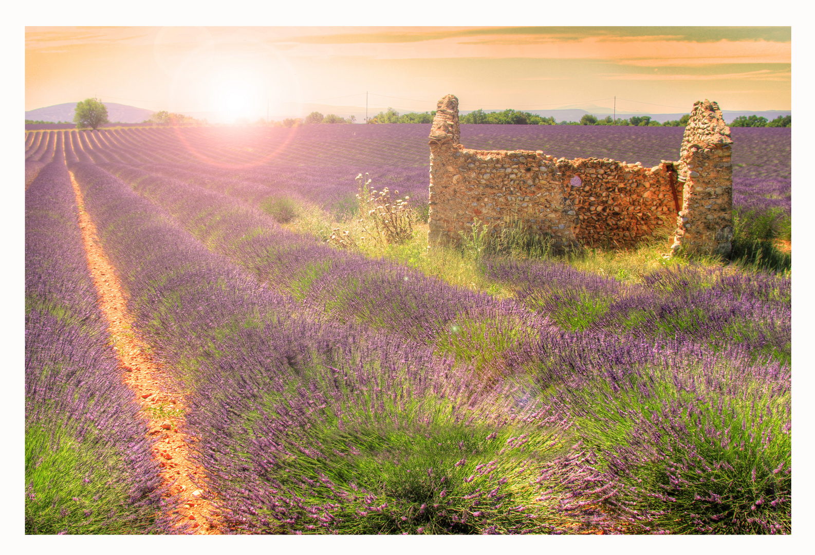 Couleur Provence