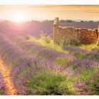 Couleur Provence