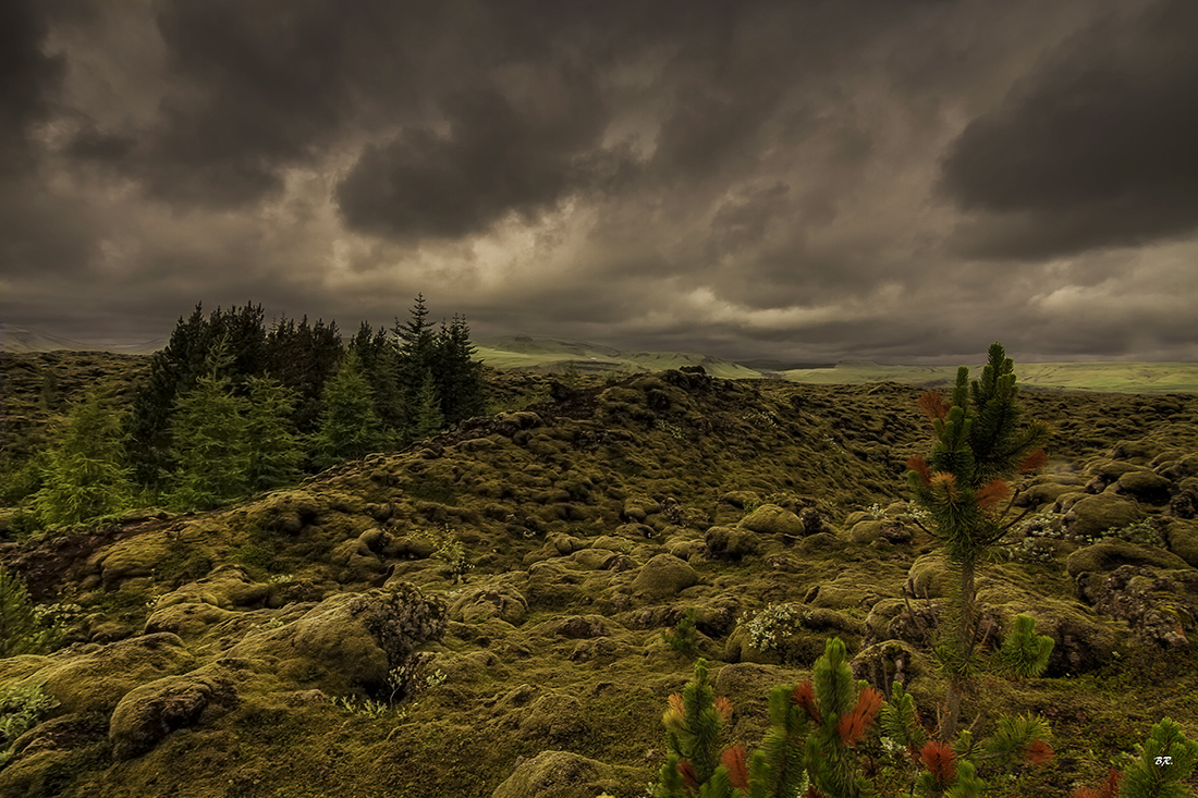 Couleur vert Islande !!