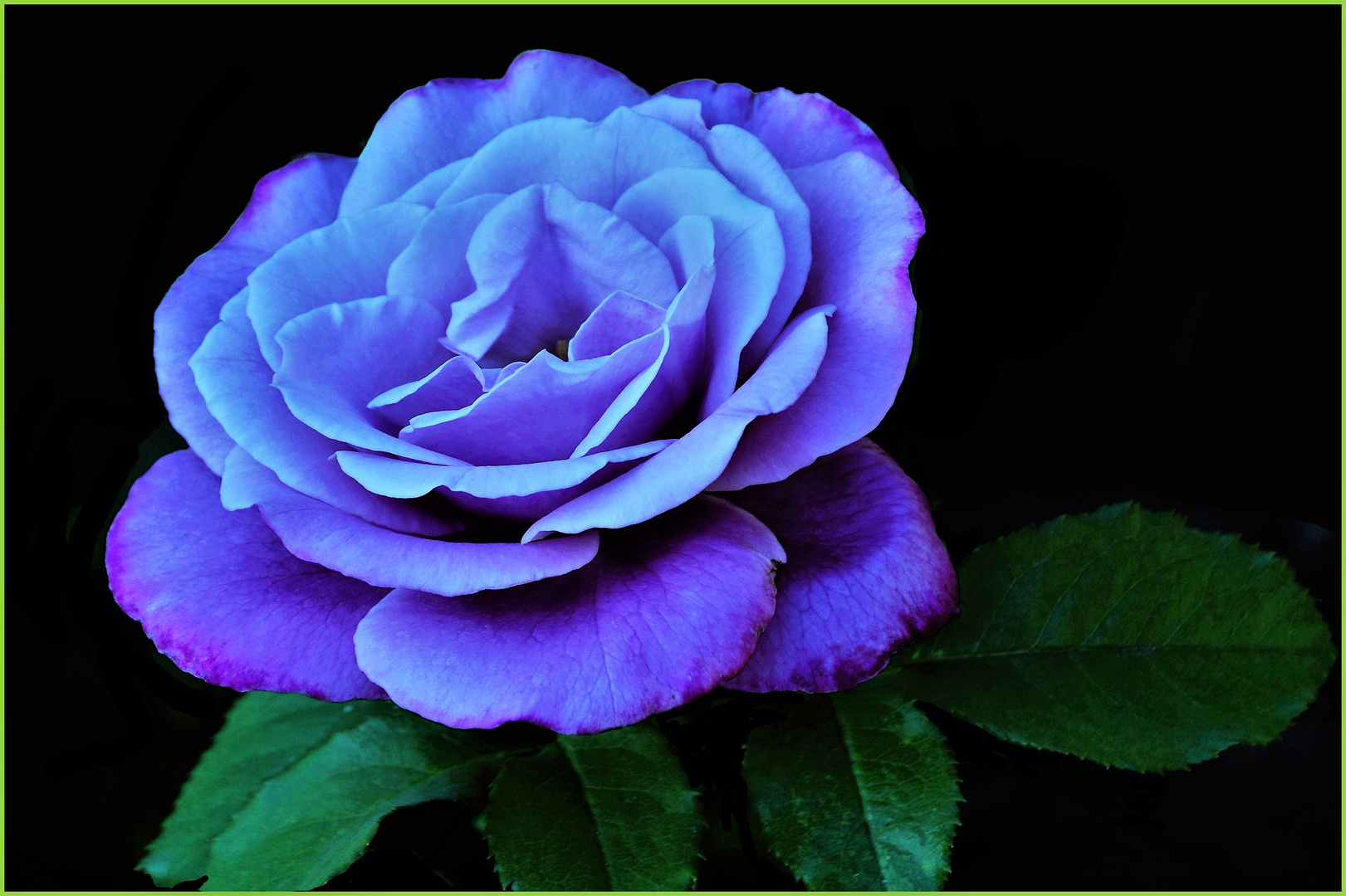 COuleur violet .....