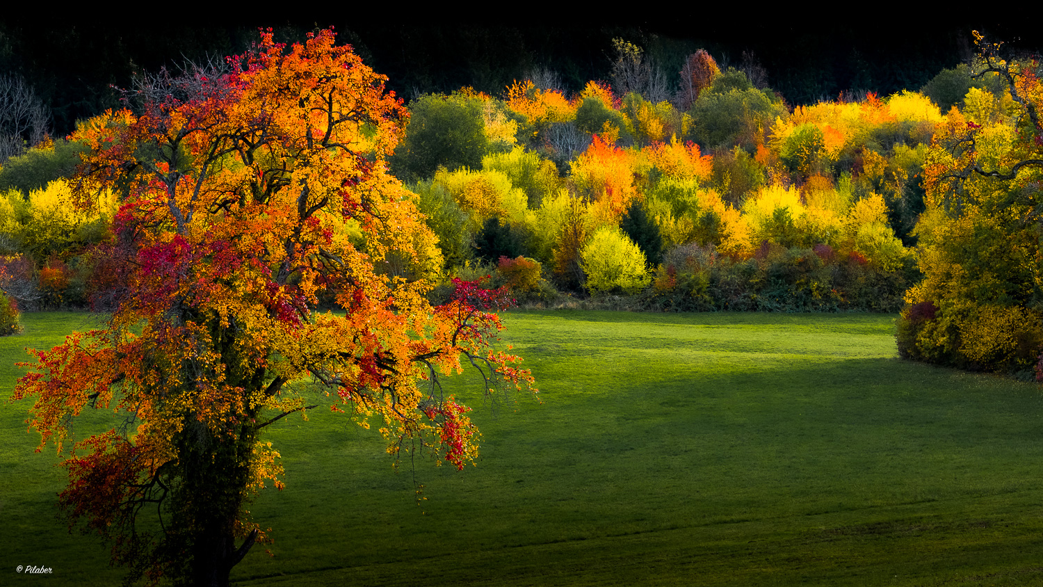 Couleurs automnales