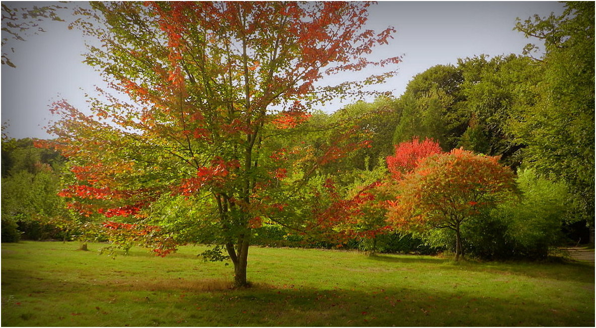 couleurs automnales