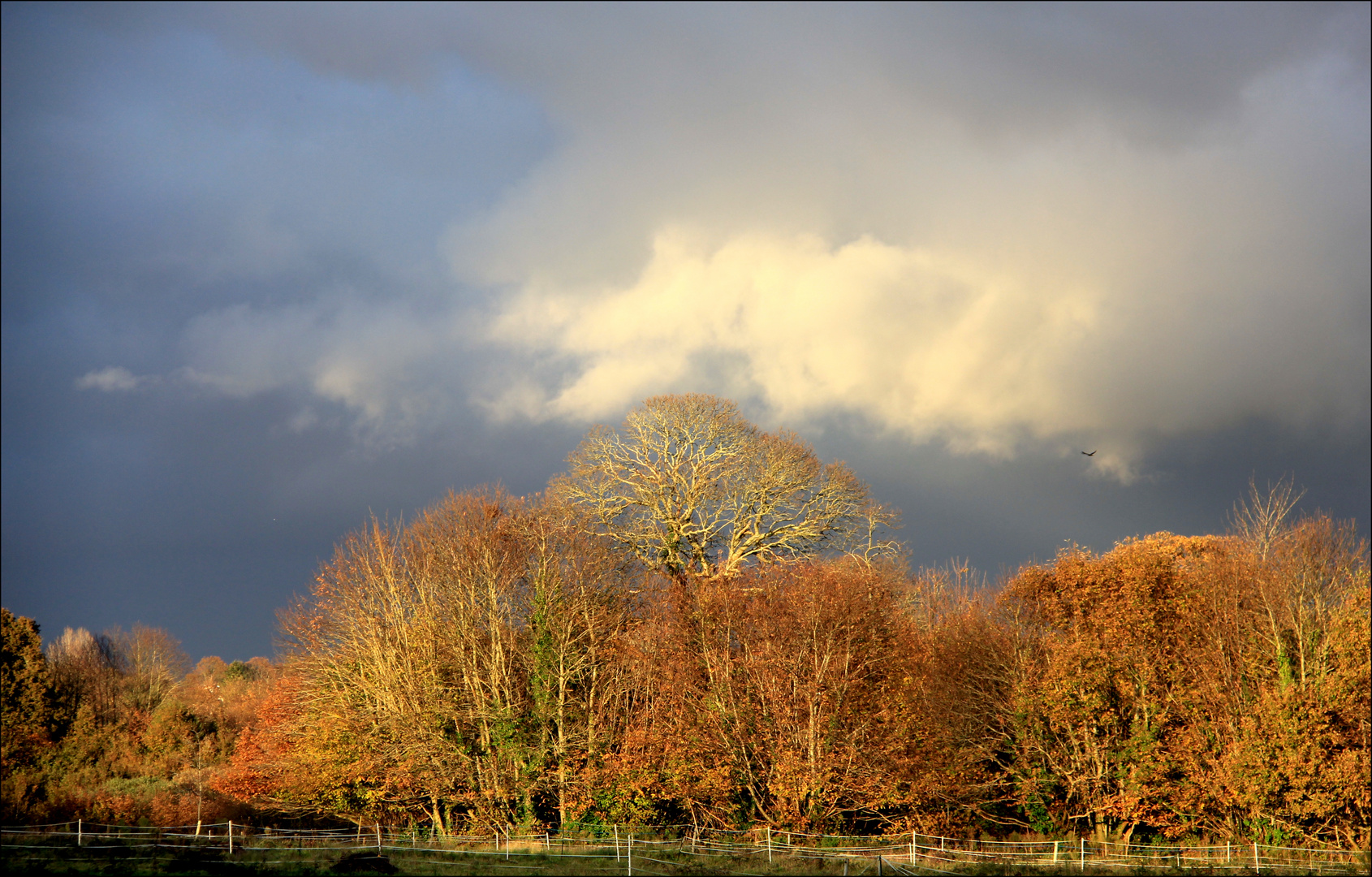 Couleurs automne