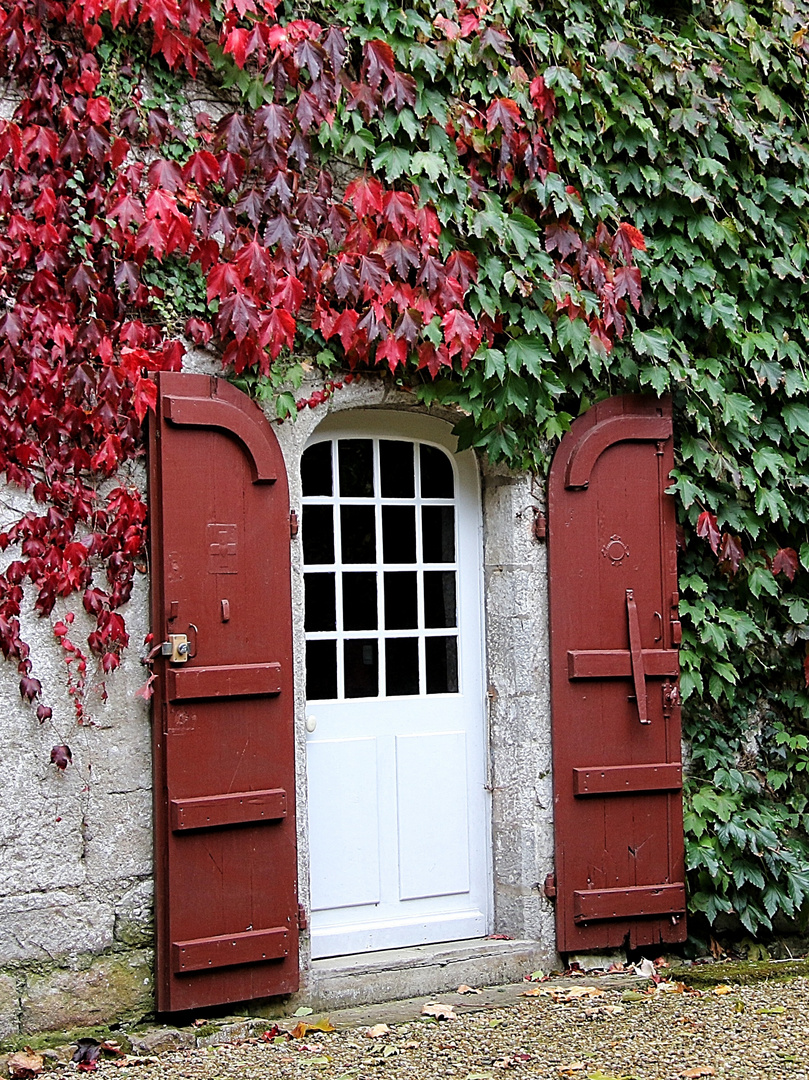 Couleurs Basque !