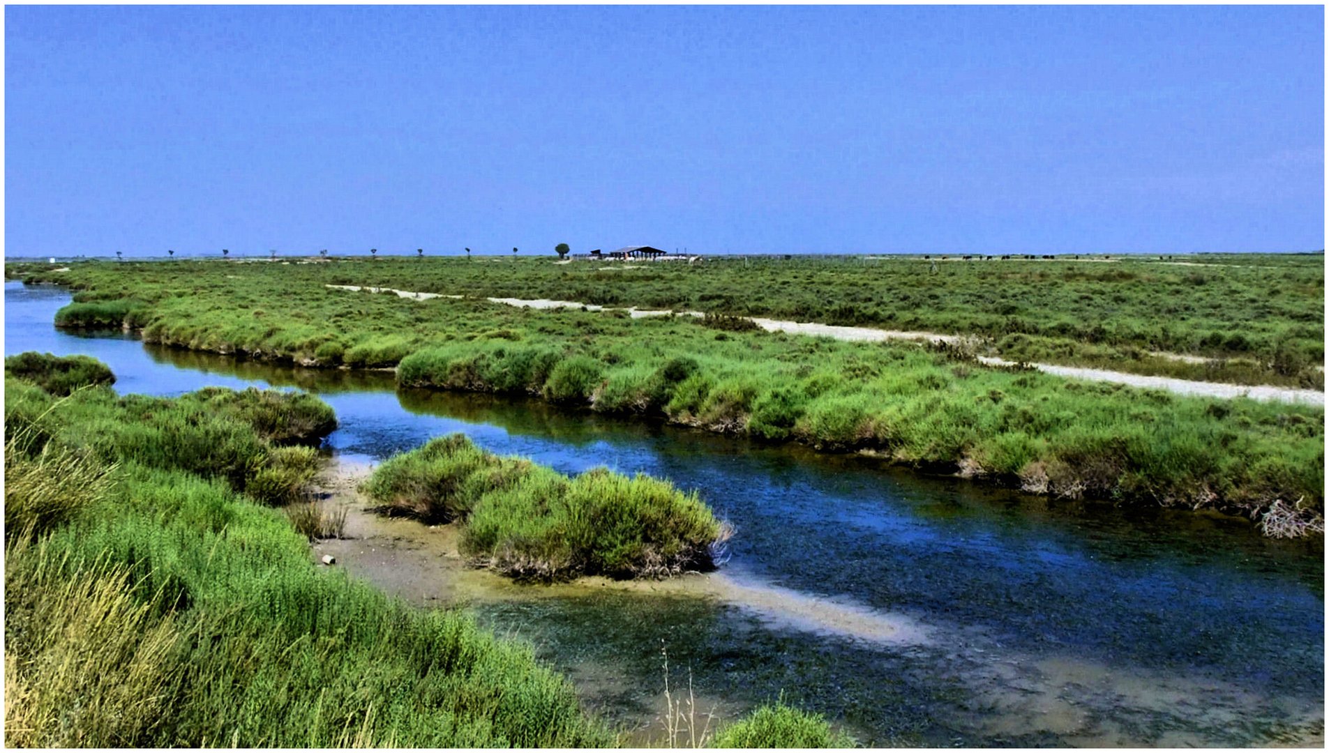 Couleurs-Camargue