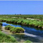 Couleurs-Camargue