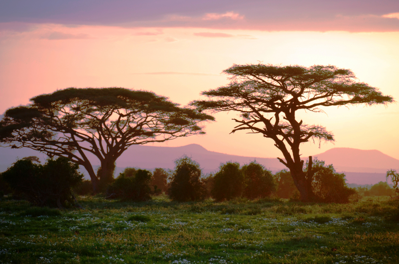 Couleurs d' Afrique