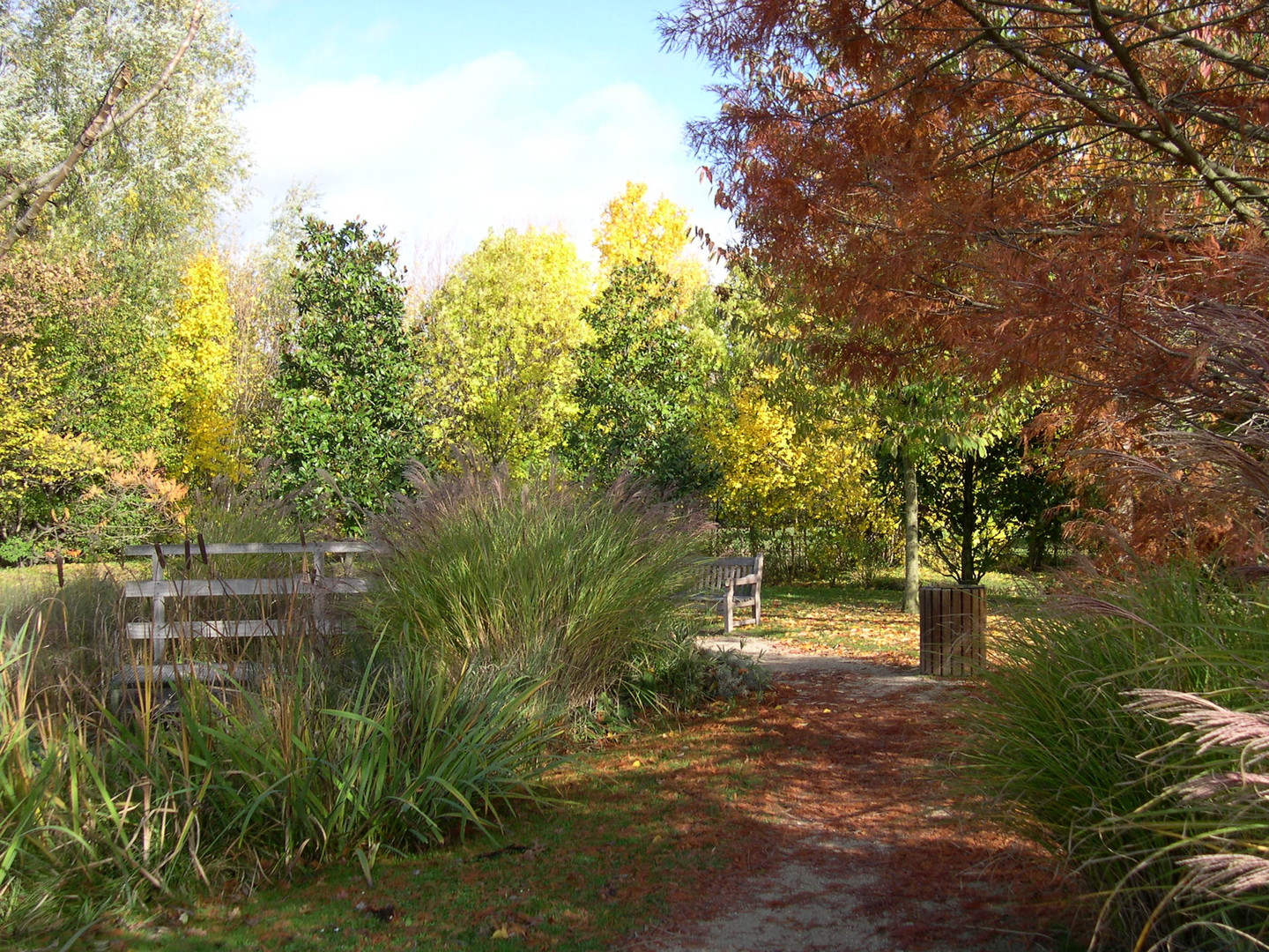 couleurs d' automne