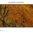 COULEURS D 'AUTOMNE IMP RESIONNISME IMPRIMABLE