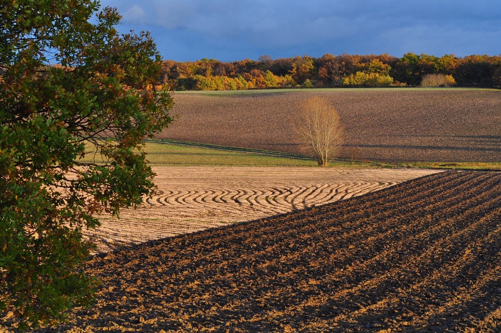 couleurs