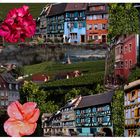 Couleurs D'Alsace