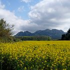 Couleurs dans les Alpilles