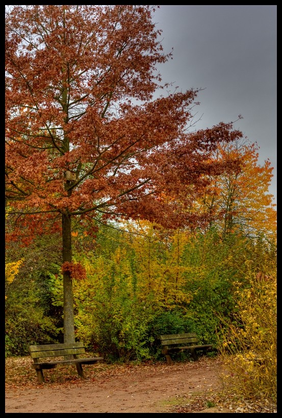 Couleurs d'automne