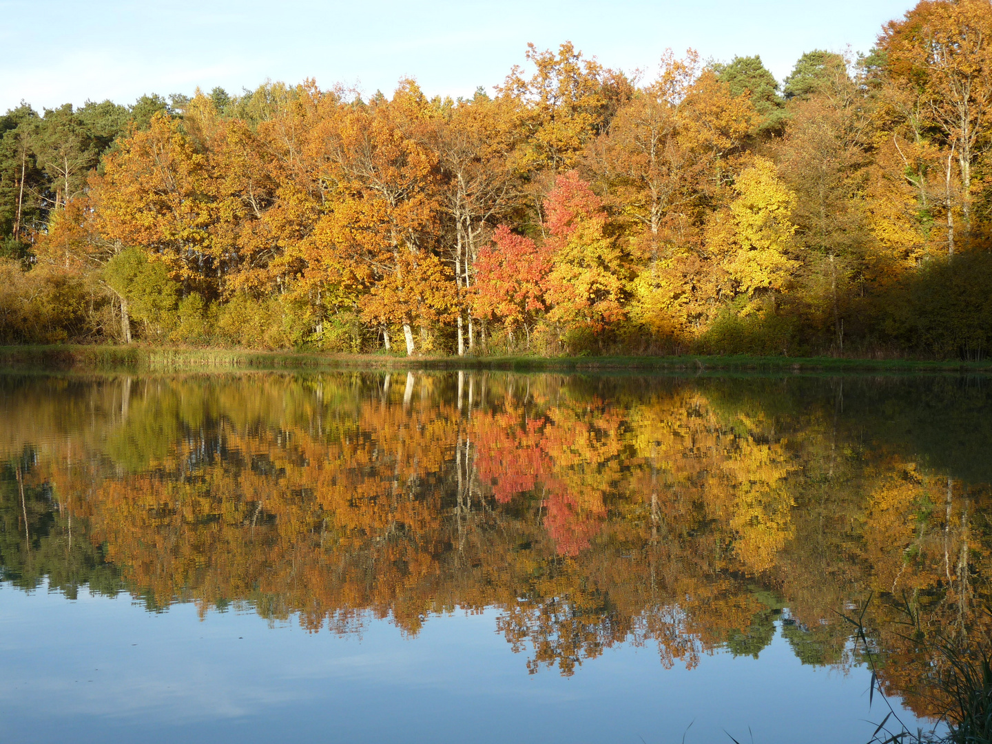 couleurs d'automne