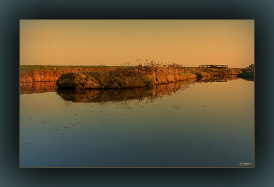 Couleurs d'automne