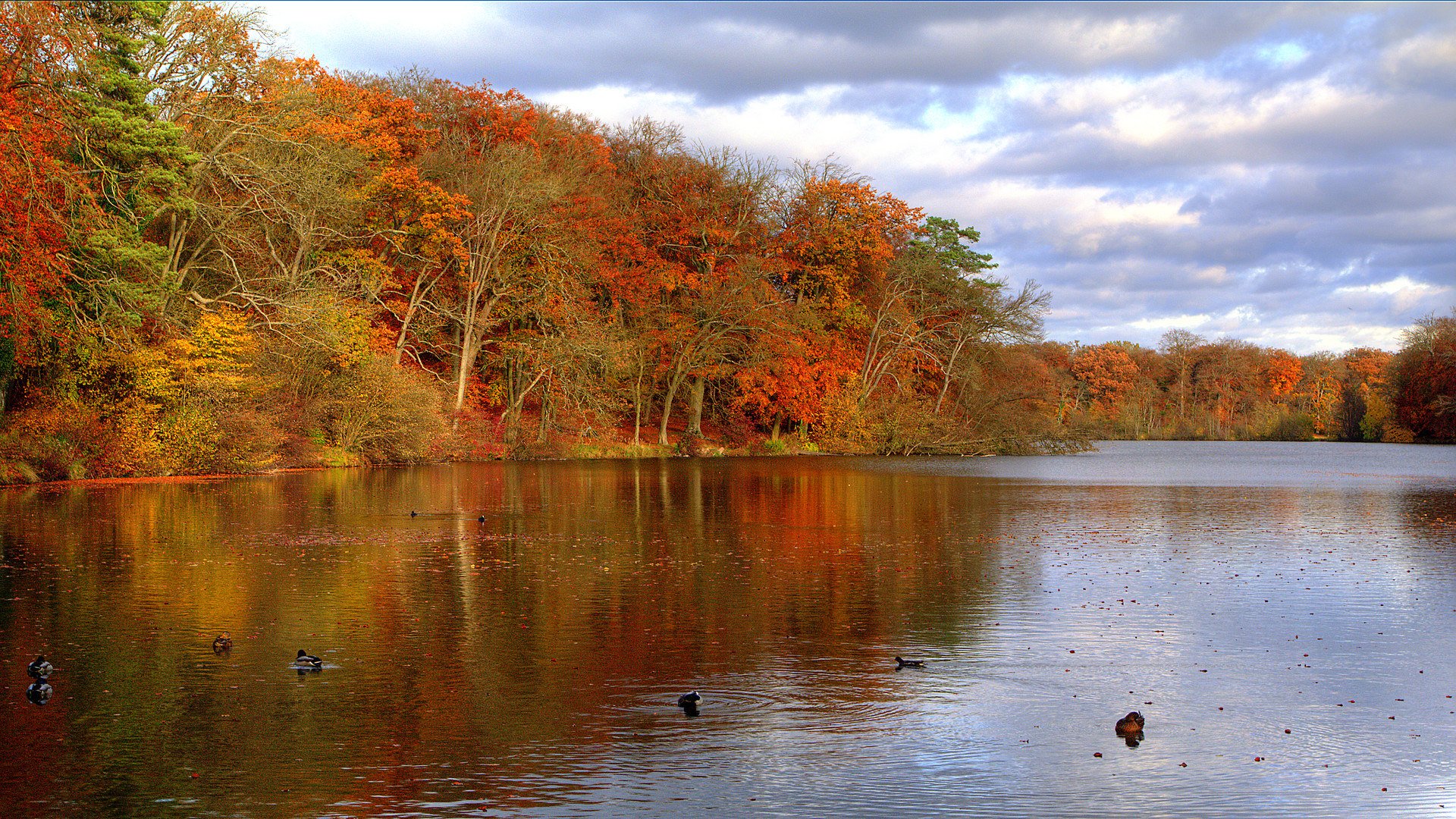 Couleurs d'automne - 1